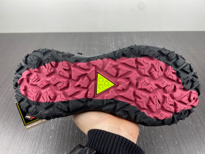 Nike ACG MOUNTAIN FLY LOW